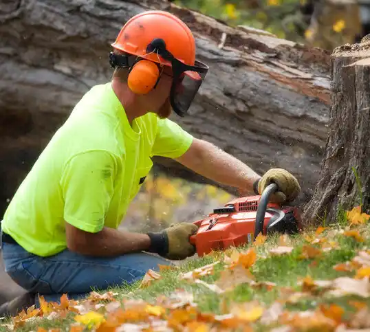 tree services Lusby